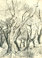 22_mom-1948-sketchbook-trees-001.jpg